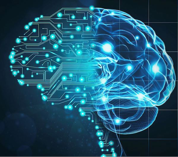 An analog neuromorphic chip with sparse branching signal pathways